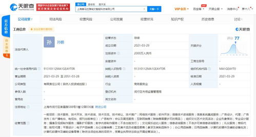軟件的技術開發與銷售 創新驅動與市場拓展的雙重路徑