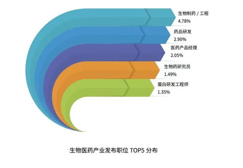 軟件技術(shù)開發(fā)與銷售 創(chuàng)新驅(qū)動與市場拓展的雙輪驅(qū)動